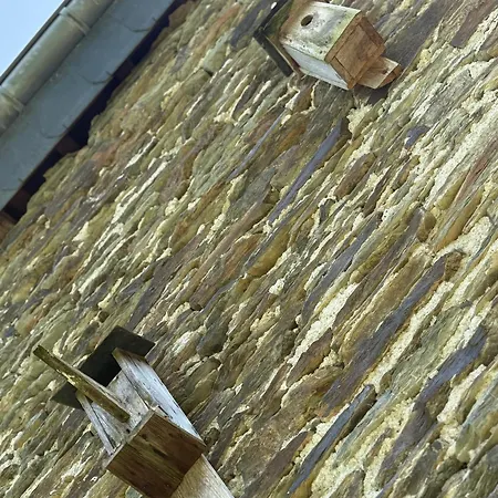 Arduinna's Nest Neufchâteau