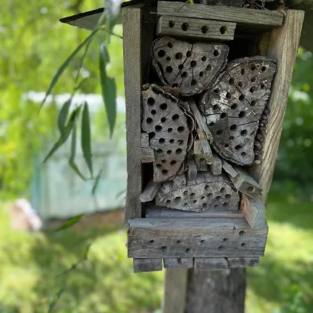 Arduinna's Nest Bed and breakfast 3*