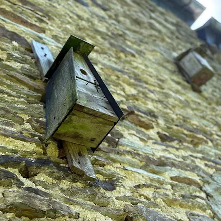 Arduinna's Nest Neufchateau
