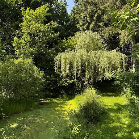 Arduinna's Nest Nocleg ze śniadaniem Neufchâteau