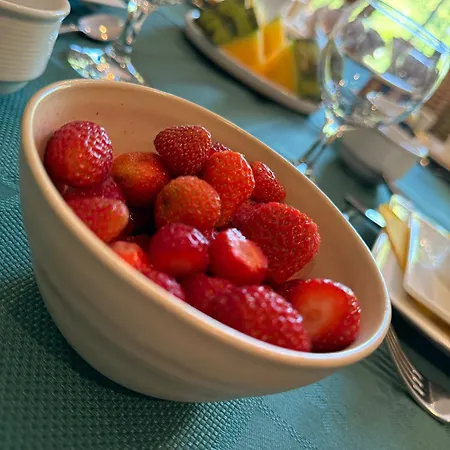 Bed & Breakfast Arduinna's Nest