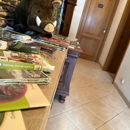 Arduinna's Nest Neufchateau