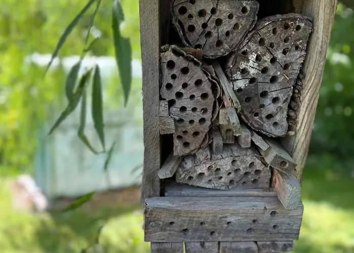 Arduinna's Nest Couette-café 3*