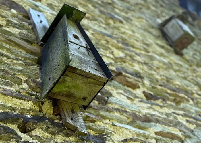 Arduinna's Nest Neufchâteau