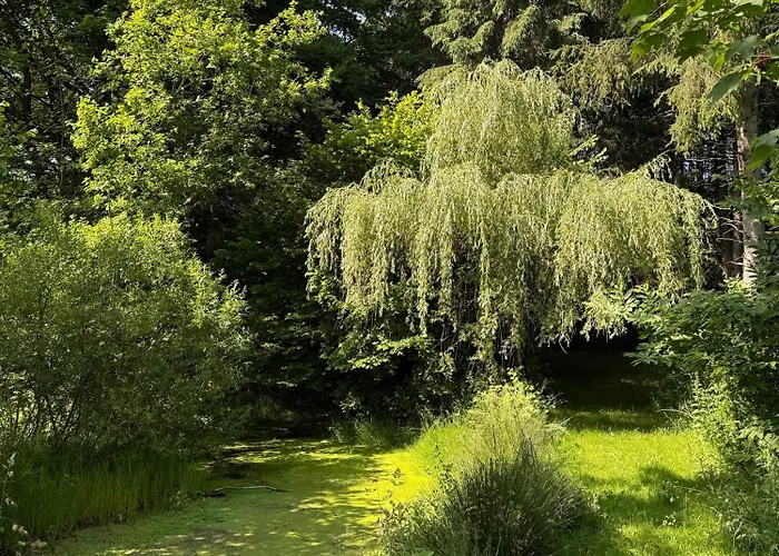 Arduinna's Nest Couette-café Neufchâteau